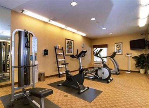 фото отеля Holiday Inn Express Tampa North - Telecom Park