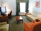 фото отеля Holiday Inn Express Tampa North - Telecom Park