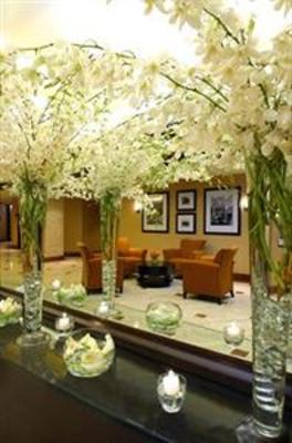 фото отеля Hilton Hotel Rosemont