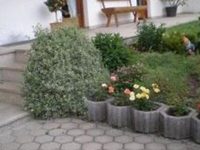 Bauernhof Sabine Waldner