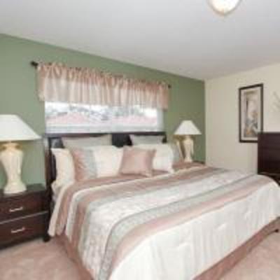 фото отеля Global Resorts Paradise Palms