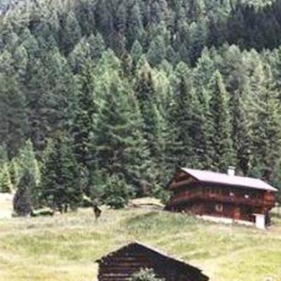 фото отеля Gasthof Niederbruggerhof