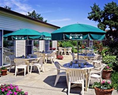 фото отеля Wellfleet Motel & Lodge South Wellfleet