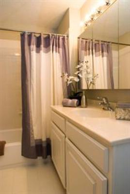 фото отеля Grand Plaza Luxury Apartments Chicago