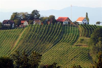 фото отеля Breitenfelder Hof