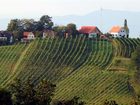 фото отеля Breitenfelder Hof