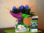 фото отеля Breitenfelder Hof