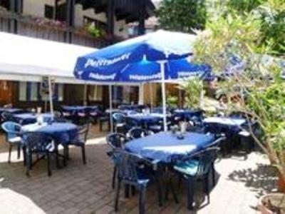 фото отеля Gruner Baum Hotel Weisenbach