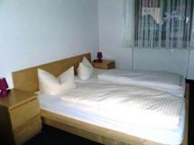 фото отеля Gruner Baum Hotel Weisenbach