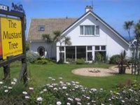 The Mustard Tree