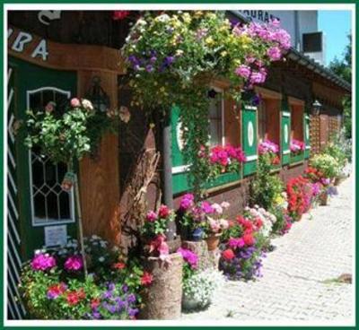 фото отеля Alpahotel Walser Stuba