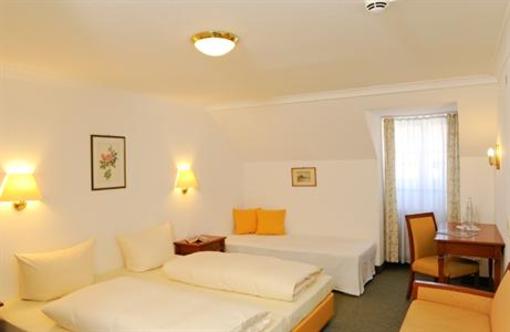 фото отеля Hotel Blauer Bock