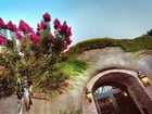 фото отеля The Meritage Resort and Spa