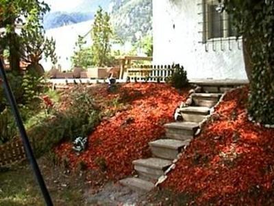 фото отеля Tyrolis Hotel