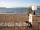 фото отеля Galini Beach Hotel