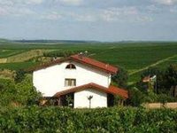 Ganz Weingut & Biohotel