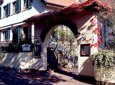 фото отеля Landhotel Niederthaler Hof Schlossbockelheim