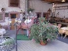 фото отеля Gasthaus zum Hirschen