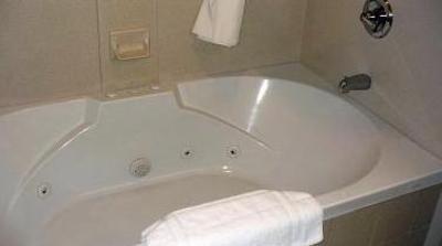фото отеля AmericInn Hotel & Suites Rochester Airport