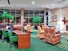 фото отеля Courtyard by Marriott Tampa Oldsmar