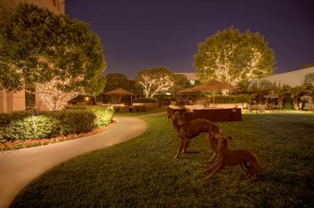 фото отеля InterContinental Los Angeles Century City