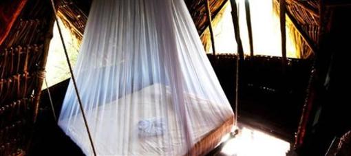 фото отеля Yoga Shala Tulum