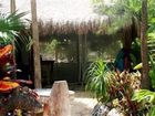 фото отеля Yoga Shala Tulum