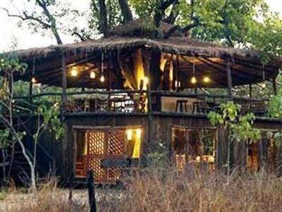 фото отеля Tree House Hideaway