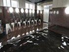 фото отеля Saga City Hotel