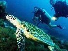 фото отеля Sairee Hut Resort Ko Tao
