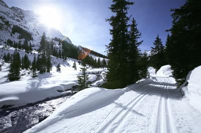 фото отеля Robinson Club Alpenrose Zuers
