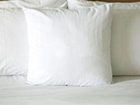 фото отеля George Washington University Inn