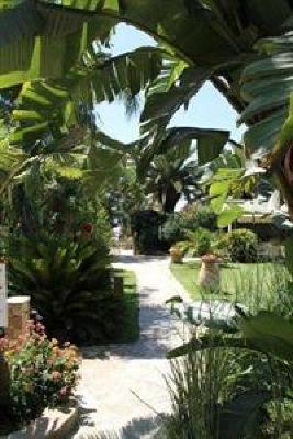 фото отеля Hotel Simius Playa