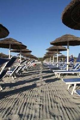 фото отеля Hotel Simius Playa