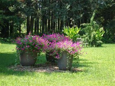 фото отеля Dove Nest Bed and Breakfast