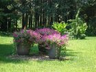 фото отеля Dove Nest Bed and Breakfast