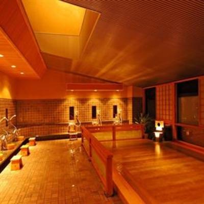 фото отеля Kamimoku Onsen Tatsumikan