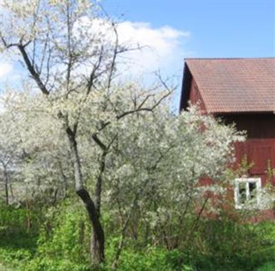 фото отеля Rensbo Bed & Breakfast