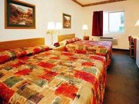 Econo Lodge Inn & Suites New Castle
