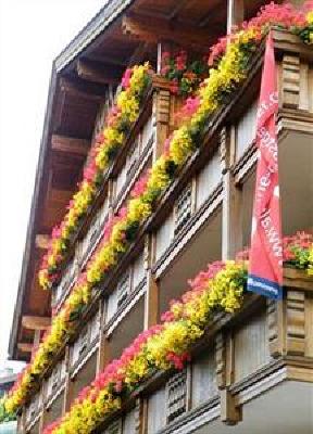 фото отеля Hotel Alpen Pitztal