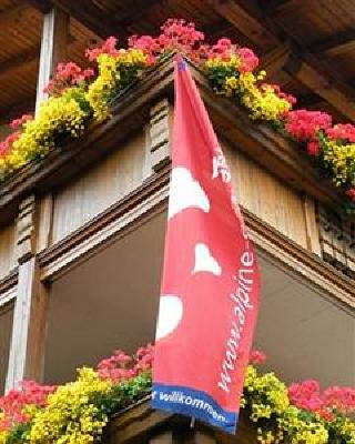фото отеля Hotel Alpen Pitztal
