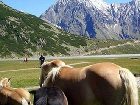 фото отеля Hotel Alpen Pitztal