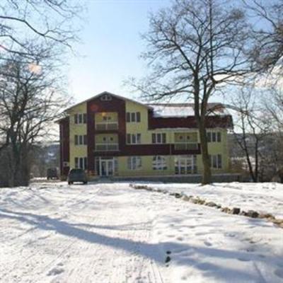 фото отеля Casa Camelia Hotel Darmanesti