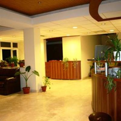 фото отеля Casa Camelia Hotel Darmanesti