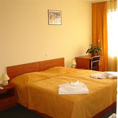фото отеля Casa Camelia Hotel Darmanesti