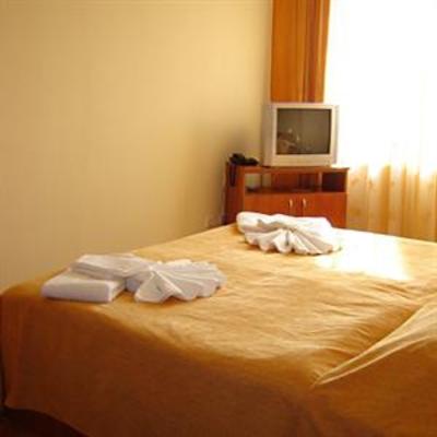 фото отеля Casa Camelia Hotel Darmanesti