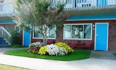 фото отеля Blue Sea Motor Inn