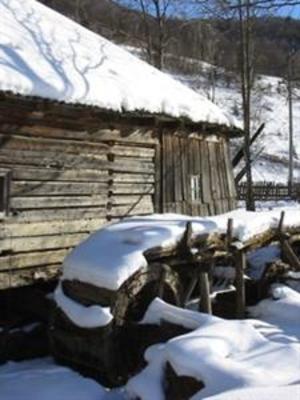 фото отеля Pensiunea Dariana