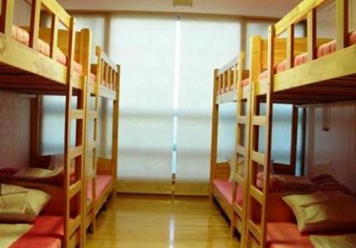 фото отеля Solongos Backpackers
