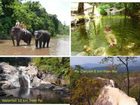 фото отеля Darling View Point Bungalows